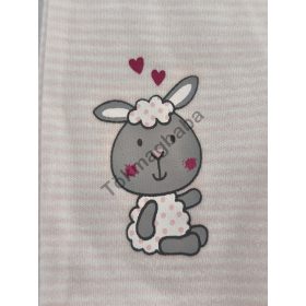  Bornino by Baby Walz rövid ujjú body csomag – 2 db – 98/104